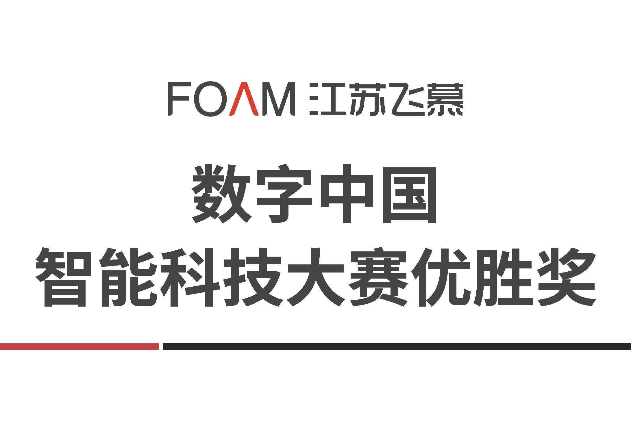 数字中国智能科技大赛优胜奖
